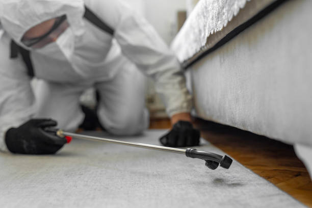 Professional Termite Control technician working in Fulton, NY
