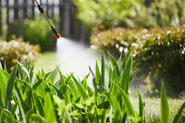 24/7 Emergency Termite Control experts in Fulton, NY