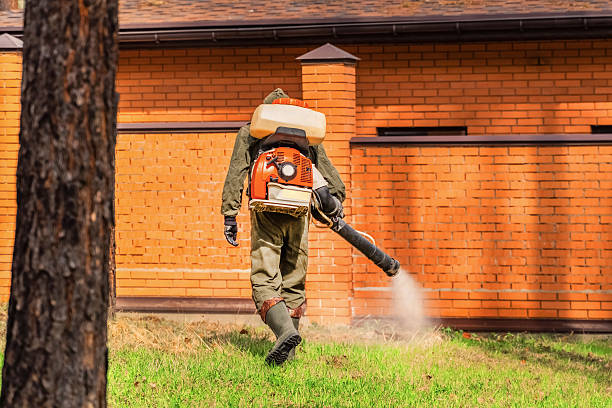 Top rated local Termite Control specialists in Fulton, NY